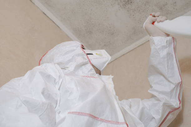 Best Preventive Mold Services in Yoncalla, OR